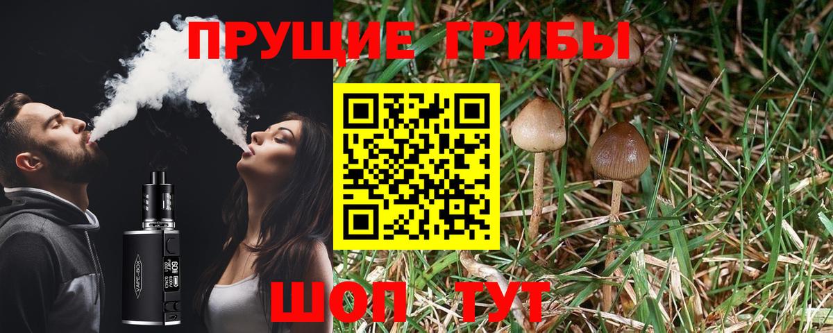 Галлюциногенные грибы GOLDEN TEACHER  Вход с VPN  Псилоцибиновые грибы Magic Shrooms  Канаш 